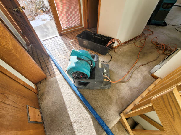 Best Flooded house restoration  in Sidy, NE