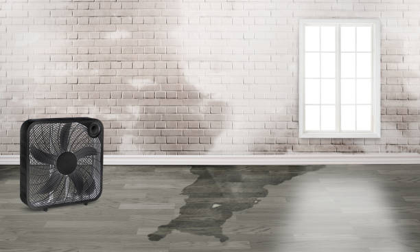 Best Emergency water damage restoration  in Sidy, NE