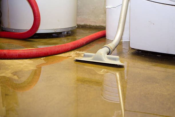 Best Local water damage restoration  in Sidy, NE