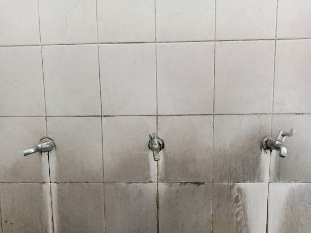 Best Carpet water damage restoration  in Sidy, NE