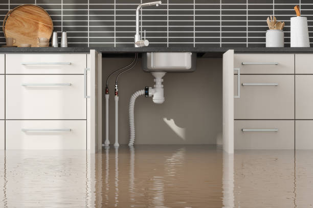 Best Water damage cleanup near me  in Sidy, NE