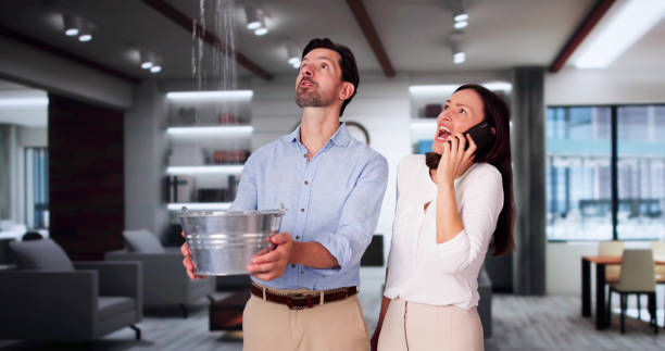 Best Basement water damage restoration  in Sidy, NE